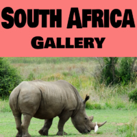 South Africa tour gallery