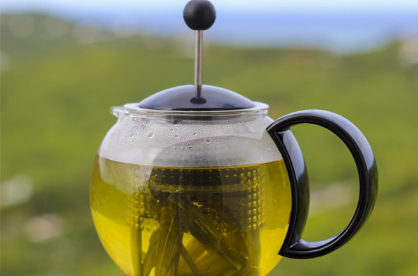 US Virgin Islands - bush tea